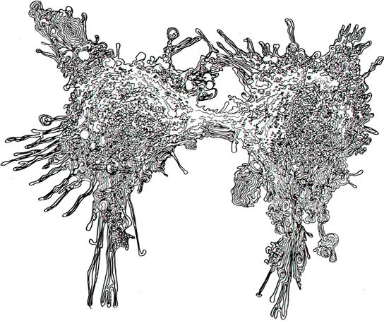 Cancer cells Sketch showing cancer cells during division
