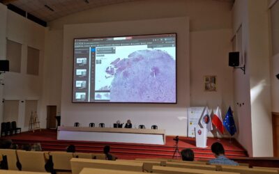 Hematopathology Summer Meeting