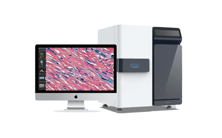 KF-PRO-120-1 manual scanning with microscope